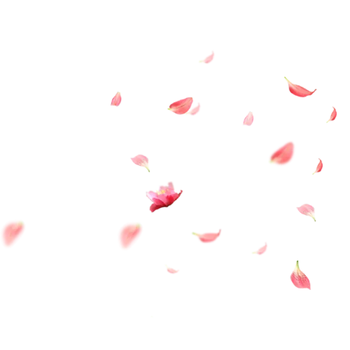 Home 19 leaves3
