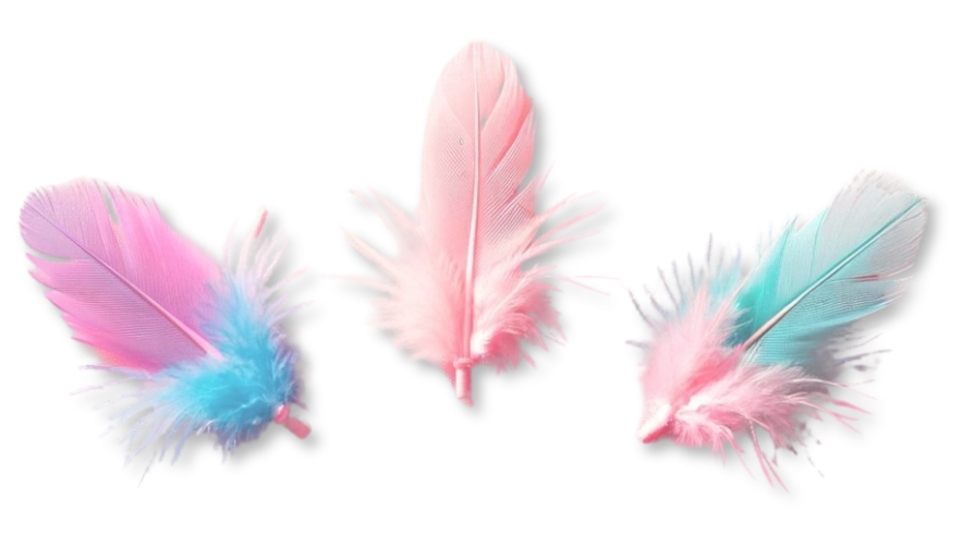 plumes-jouet-chaton plumes jouet chaton